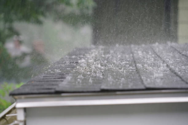 Best Asphalt Shingles Roofing  in Olean, NY