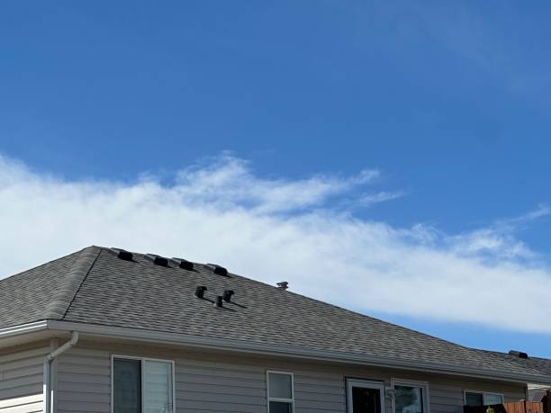 Best Flat Roofing  in Olean, NY